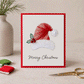 🎄 🧵Merry & Bright DIY Kerstkaartenset – Maak Prachtige Handgemaakte Kerstkaarten ✨