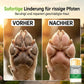 💥🎁2 kaufen，1 gratis🐶🐈Feuchtigkeitspflegender Pfotenbalsam – praktische Pflege für weiche und gepflegte Pfoten