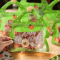 ❄️🎅Vroege Kerstuitverkoop 50% KORTING!!☃️🎄Kerst Traktatiezakjes, Afsluitbare Kerstzakjes met Handvat voor Kinderen 10 STUKS❄️