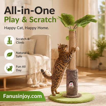 🐱Kattenparadijs! Katten zijn van nature speels. Kokospalm Kattenkrabpaal