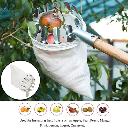 ⏳ Tijdelijke aanbieding⏳  🍎 Fruitplukker met opvangmand
