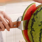 🍍 RVS fruitsnijder met houten handvat – Compact en handig voor in de keuken 🌿