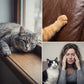 Dubbele Stok Zuignap Kattenspeelgoed