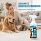 🐶✨ KOOP 2, KRIJG 1 GRATIS – Vlekken- & Geurverwijderaar Voor Huisdieren | Krachtige Reinigingsspray Voor Tapijt, Bank & Vloer