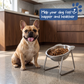 🐕💥 50% KORTING! Stop met schrokken en overgeven! Deze 15° orthopedische voerbak helpt je hond rustiger te eten, vermindert regurgitatie en is gemaakt van SUS304 RVS – vaatwasserbestendig!