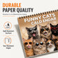 Grappige Katten Wandkalender 2027