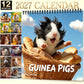 Schattige Cavia Wandkalender 2027