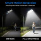 Solar Powered Street Light with Motion Sensor