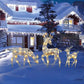 🦌 50% korting! Verlichte kerst rendierfamilie – 3 delen, strik met LED-verlichting & stevig smeedijzer. Binnen & buiten – breng warme kerstsfeer in huis! ✨🎄
